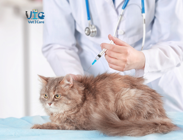 Appointment Scheduling