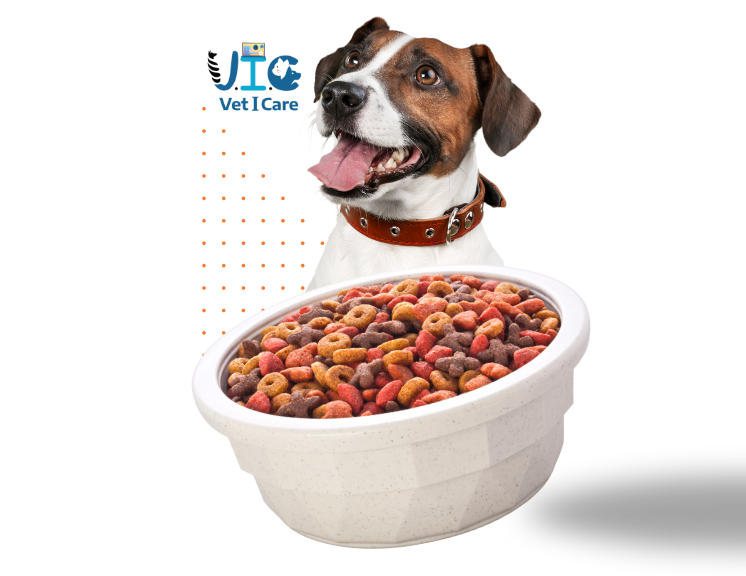 Client & Pet Profiles