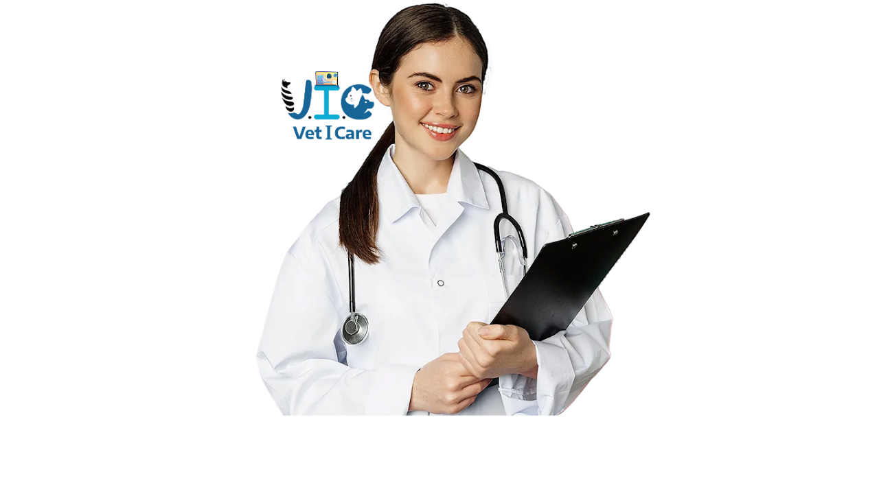 Notifications & Reminders